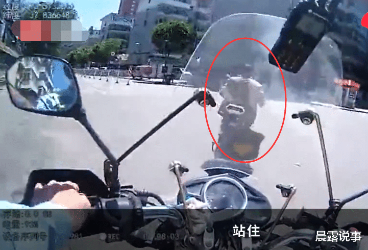 『中毒』“我是逃犯，快抓我啊”，民警核查牵出25年前凶杀案！