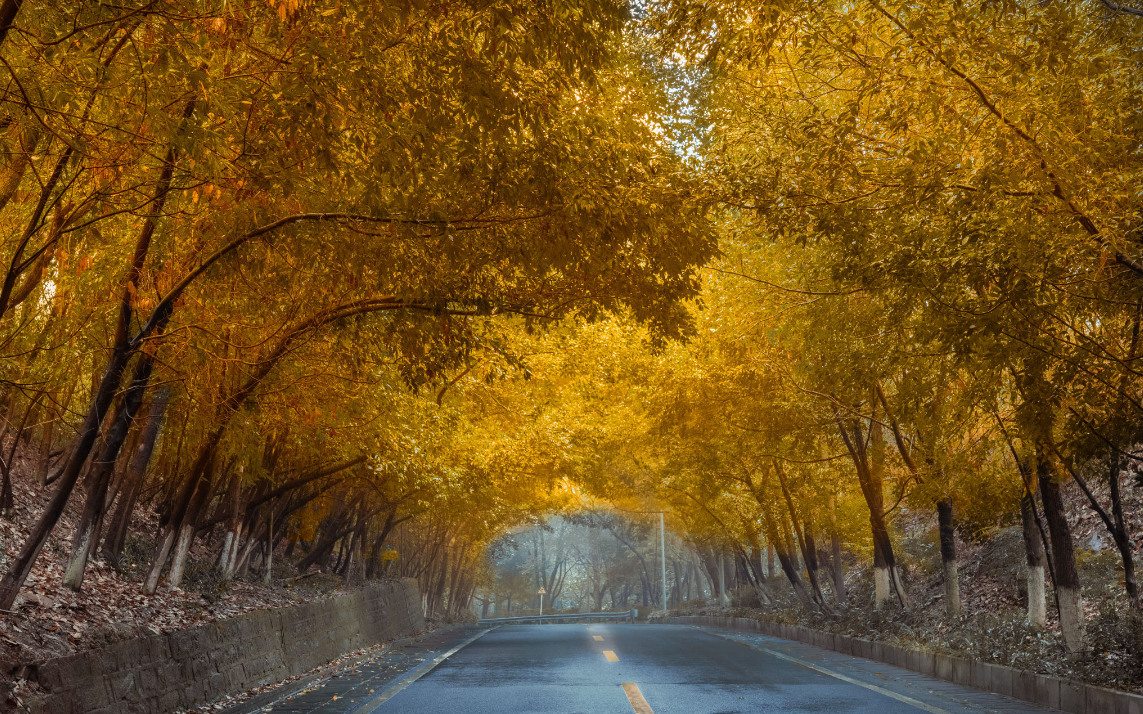 自驾▲自驾旅行：高颜值绕城沿线，全长187公里，让你过一个凉爽的夏天