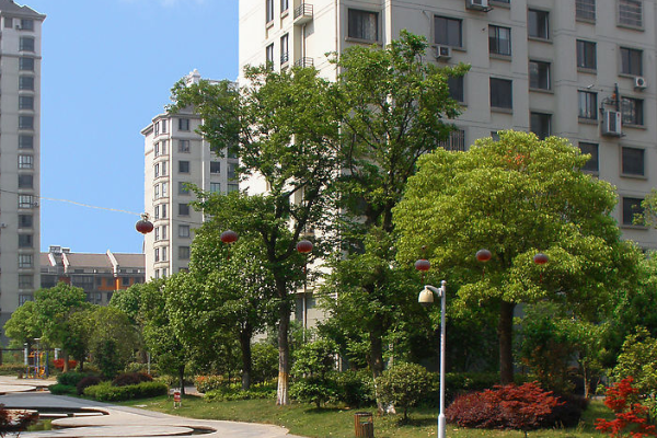 房贷|央行又出“大动作”，21万亿房贷集体“卸担子”，房奴要翻身了？