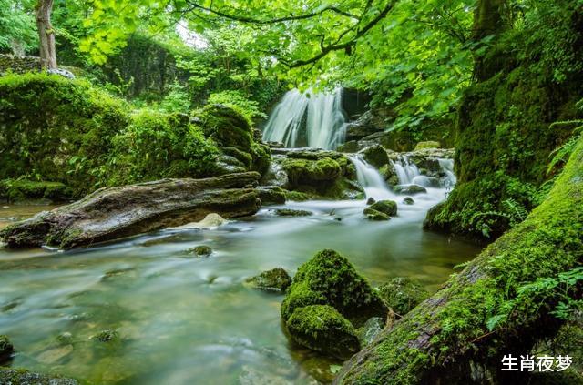 狮子座|7月中旬，吉星照射，好运连连的三大生肖。八方来财，日益幸福