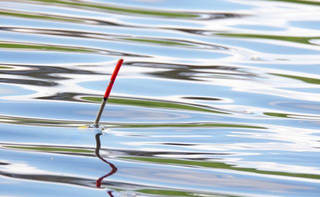 |钓鱼人该如何选择浮漂，其实两种类型就够了---皇禾渔具