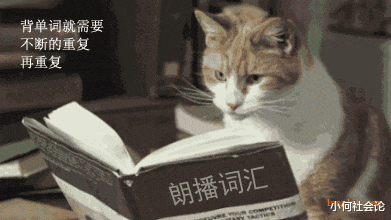 郑强|郑强教授建议高考取消英语，称其是“累赘”，你怎么看？