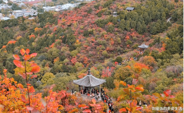 ##领导问你对工作有什么看法，牢记有一点不能说，有两点要多说！