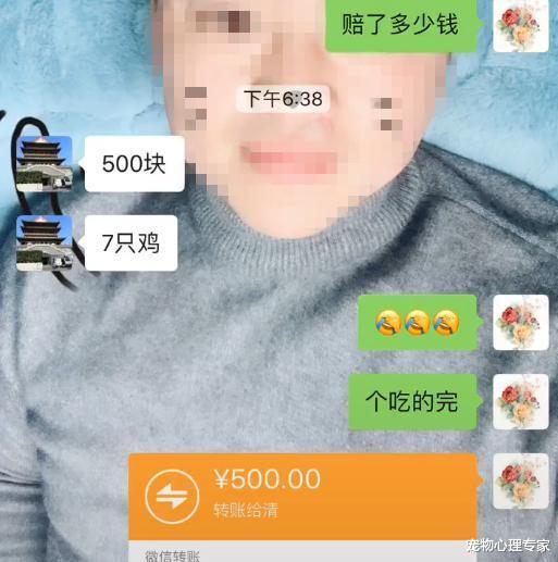 女子带二哈回农村老家，有事临时出门，不料回来却赔了500块钱