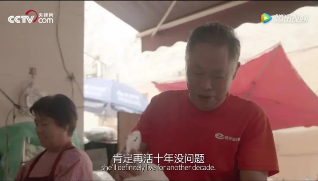白百何|“别装了,白百何!”:你的微博,刺痛了3.4亿人的伤疤