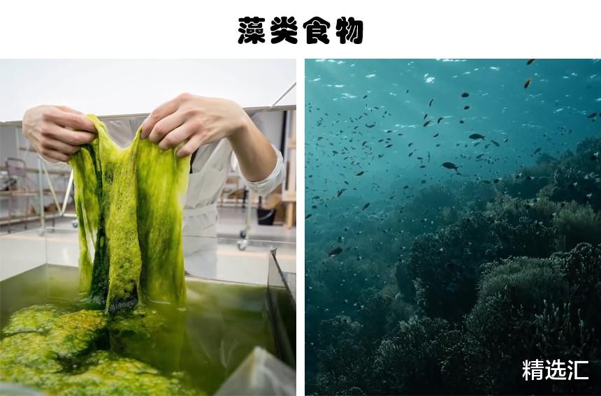 「火星」随着时代的变化，在2050年可能出现的7种常规食物