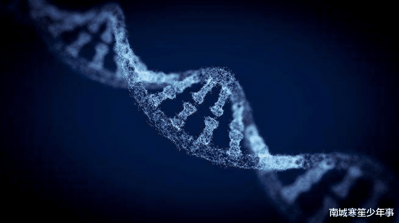 「染色体」DNA中丢失的那对染色体找到了,他们改变了人类的基因,超乎想象