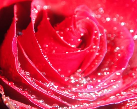 运势|10月一到财源广进，喜事临门，4属相运势亨通，生活更上一层楼