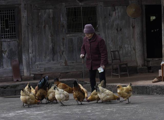 长寿秘诀|102岁老人，骨龄仅62岁，长寿秘诀不是多补钙，而是这3件事