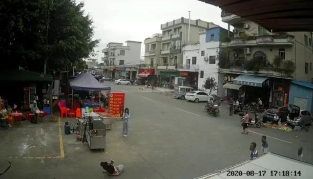 天眼新闻|官方通报“广东老人被狗绳绊倒身亡” 专家称涉事女孩不需承担刑责