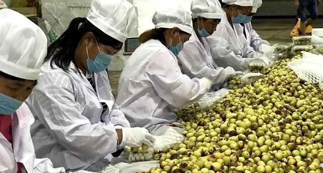 加拿大|我国无惧任何“挑衅”!该国损失百亿后,现低头请求我们购买