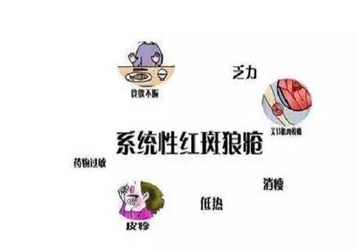 『』正确认识红斑狼疮