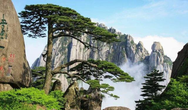 张家界|中国年收入高的3座名山, 排第1的竟是张家界，黄山不足它的零头