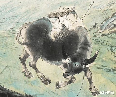 生肖|12生肖中，3生肖看似傻乎乎，其实双商高，赚钱水平排在前几名