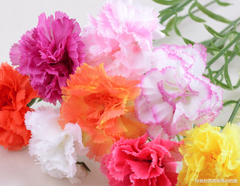 【属狗】未来三个月开始逆袭,迎接好运,事业进步,贵人相助的四属相