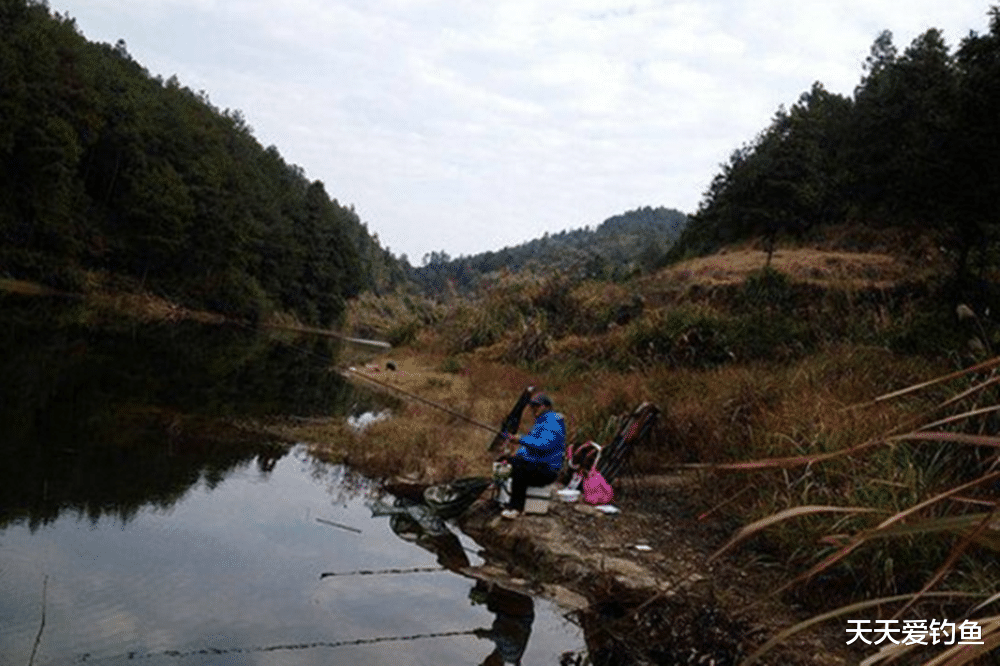 |“禁渔十年”、“钓鱼新政”发布之后，钓鱼人以后应该如何钓鱼？