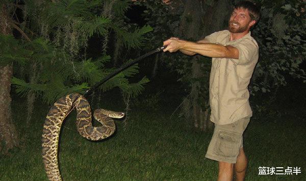 毒蛇：世上六种体型超大的毒蛇, 黑曼巴排在第四, 第一为中国独有