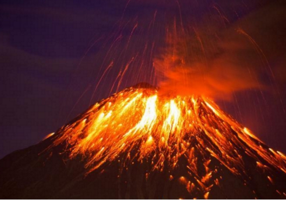 |灭绝了84年后，这种生物再次现身，我国也发现复活的生物