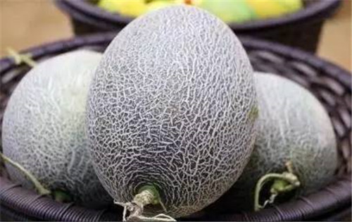 「康熙」康熙口误叫错一水果名，误导国人400多年，如今你的叫法也不对？