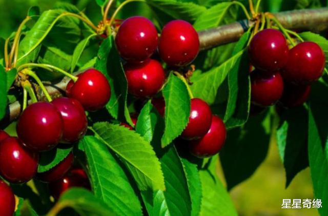 [狮子座]7月之前升职加薪，收入变多，事业发展一顺到底，厚积薄发的星座