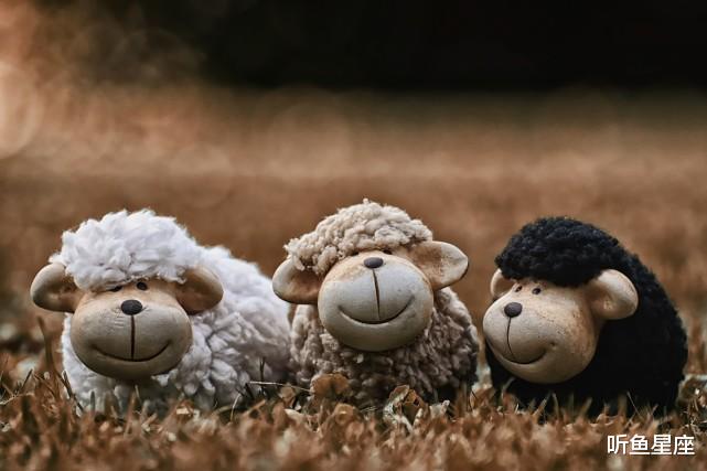 属牛|9月上旬，4属相大运降临，正财偏财一起来，想不发财都难