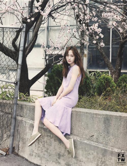 |韩国天然美女十大排行