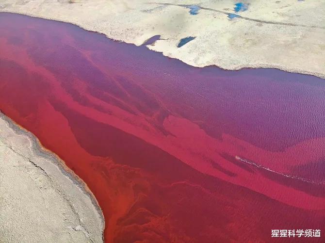 『北极圈』北极圈局地出现38℃高温,事实证明,霍金这个“末日论”或是真的