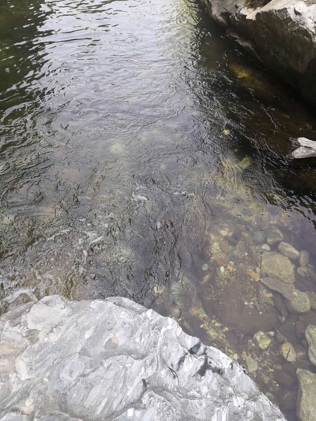 「秦岭」秦岭小溪消闲一日游