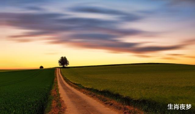 金牛座|10月，岁月新生，爱情不老，3生肖想要得到的是你，至死不渝