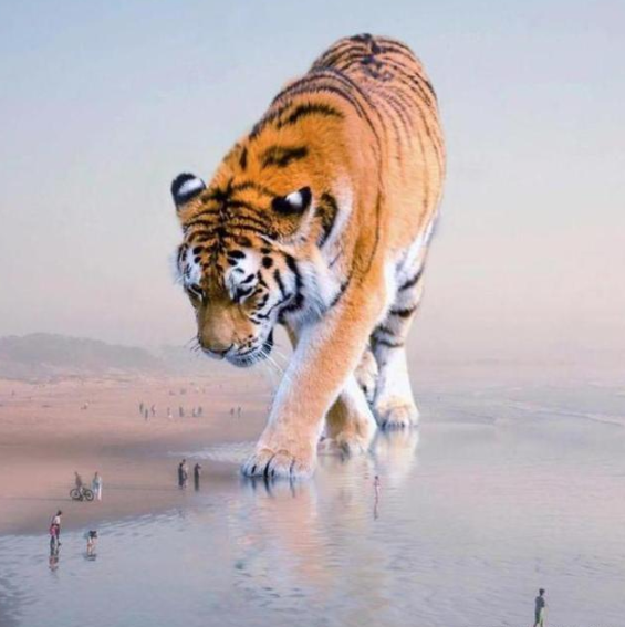 「免疫细胞」将所有动物放大200倍，谁会成为地球的统治者