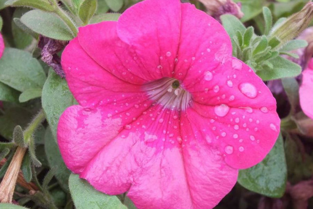 摩羯座|今年冬季有福星高照，财神祝福，生意扩大，生活富足的3个生肖！