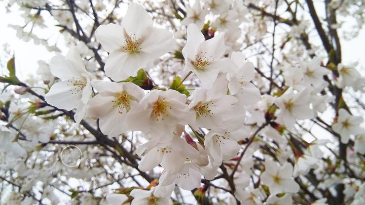 |别人不会但你会,能者多劳的你,开心吗