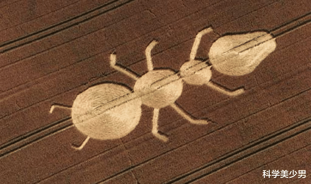 外星人|人类有没有可能是外星文明的产物?地球上最优秀的生物不是人类