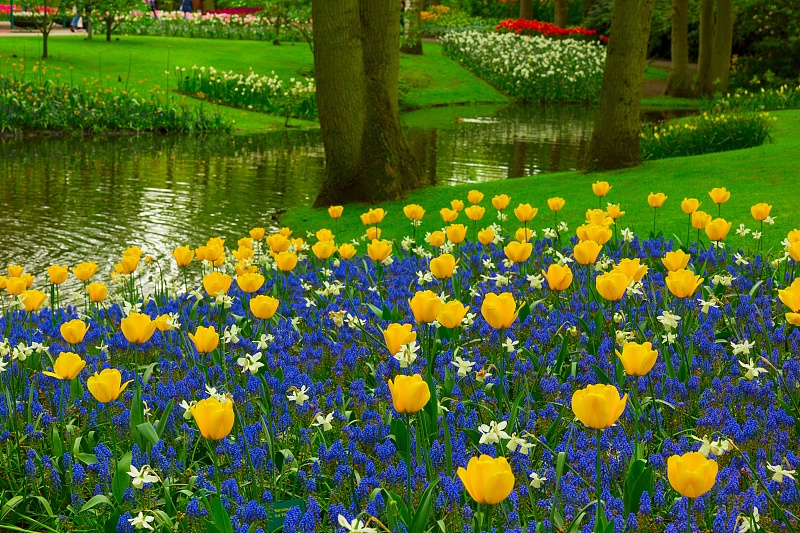 射手座|属羊人，10月30日，将有“两个贵人”来找你，劝你最好看一眼！