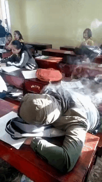 长江|找偷包子的人愣是找成了连续剧