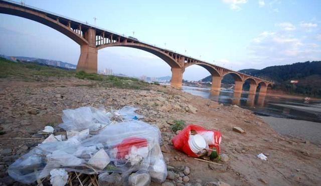 纤维素|中国科学家攻破世界难题，该技术将改变全球污染现状，造福全人类