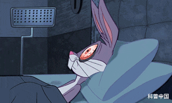 睡眠|睡觉究竟侧卧好，还是平躺好？原来脊柱最喜欢的\睡姿\是…