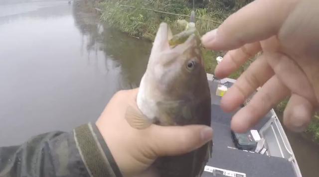 |一位职业钓手告诉你如何成为月薪过万，工作就是钓鱼的职业钓手？