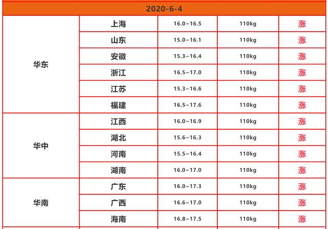「生猪价格」6月猪价4连涨，专家却说：大跌在即？咋回事？附6月4日猪价