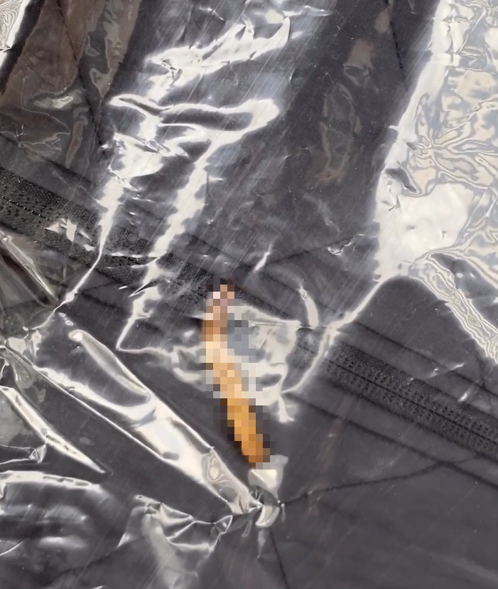 英国英鸟|美国男网购耐克衣服瞬间崩溃：新衣服里满是蠕虫扭动，一共30条