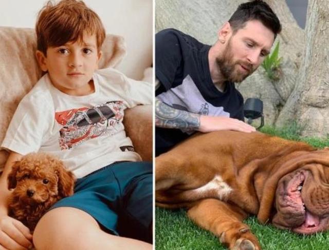 梅西|幸福！梅西又有礼物了：妻子宣布家里再添1名新成员