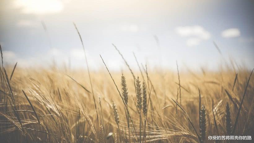 [生肖]未来三年好运到来，财运渐旺，聚财一流，生活金玉满堂的四属相