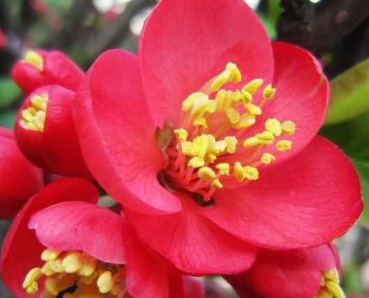 吉星|11月下旬,4属相抽得幸运签,吉星加身,好运不断,生活幸福满满