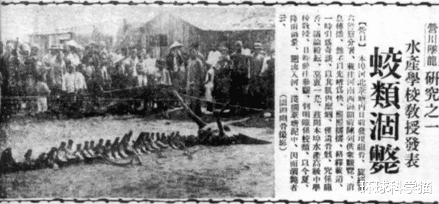 马里亚纳海沟|“奋斗者”号成功抵达10909米海沟底，是否发现龙存在海底？