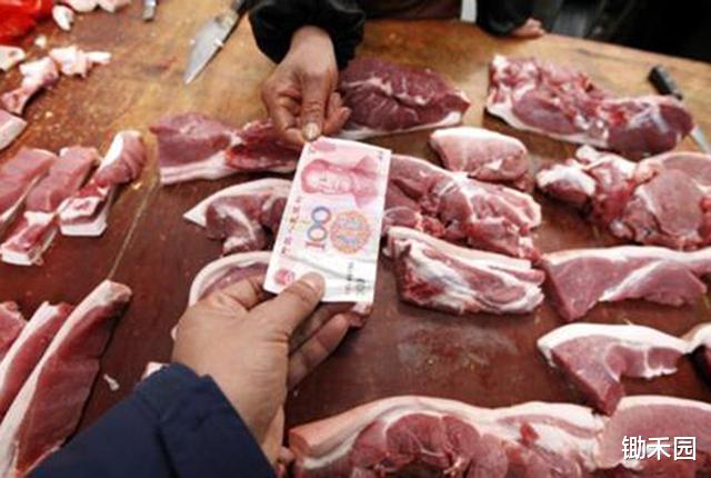 『生猪价格』猪价下跌，5月猪价会止跌上涨吗？还敢压栏吗？5月卖猪有5理由