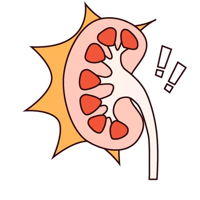 「尿路感染」肾好不好，一杯尿就知道了。