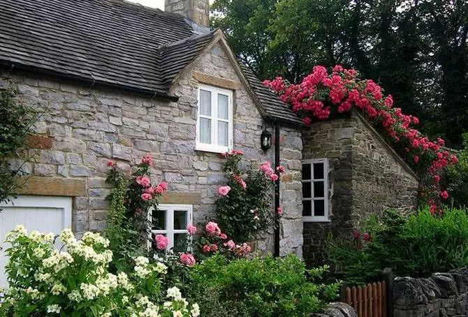 设计师|打造一个精美的小型家居庭院不难，设计师教你处理好“六大关系”