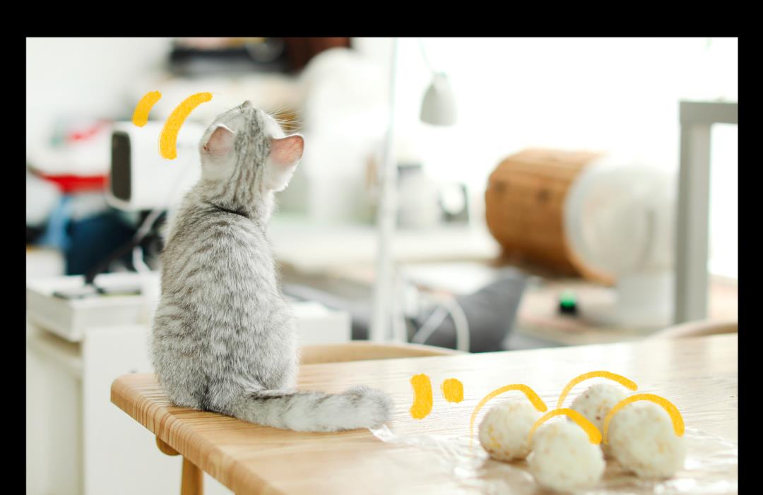 王大力|我真的不想继续吃30块一份的沙拉了！