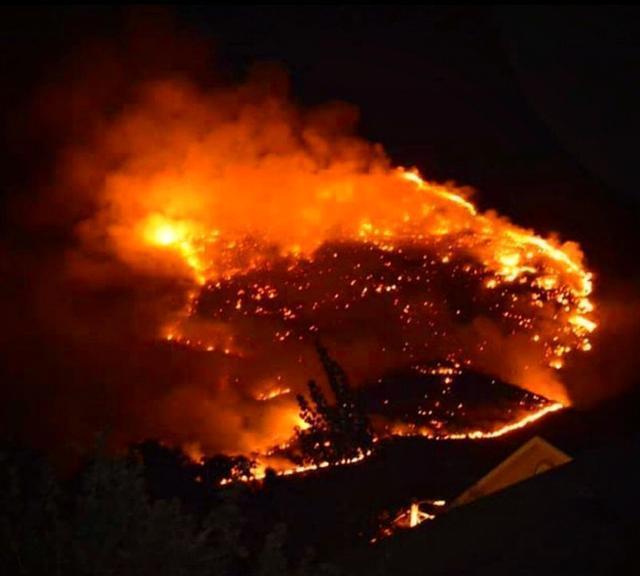 野火难烧尽，火后砍伐树木对森林会有什么影响？