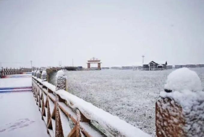 |2020年地球怎么了?秋后一伏,迎来罕见的8月降雪,该怎么办?